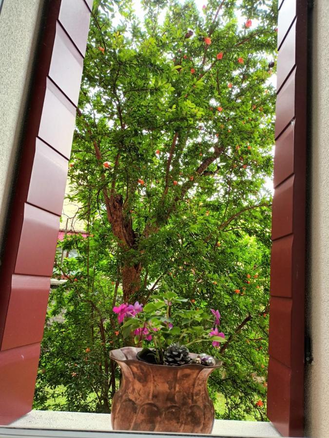 Il Melograno Hotel Vittorio Veneto Bagian luar foto